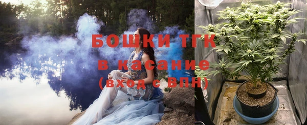 дмт Алексин