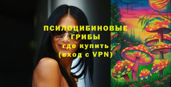 дмт Алексин