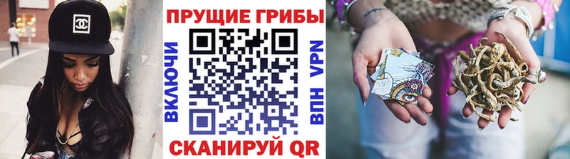 где купить наркоту  Лаишево  Галлюциногенные грибы ЛСД 